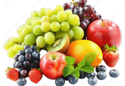 fruit exporter in India