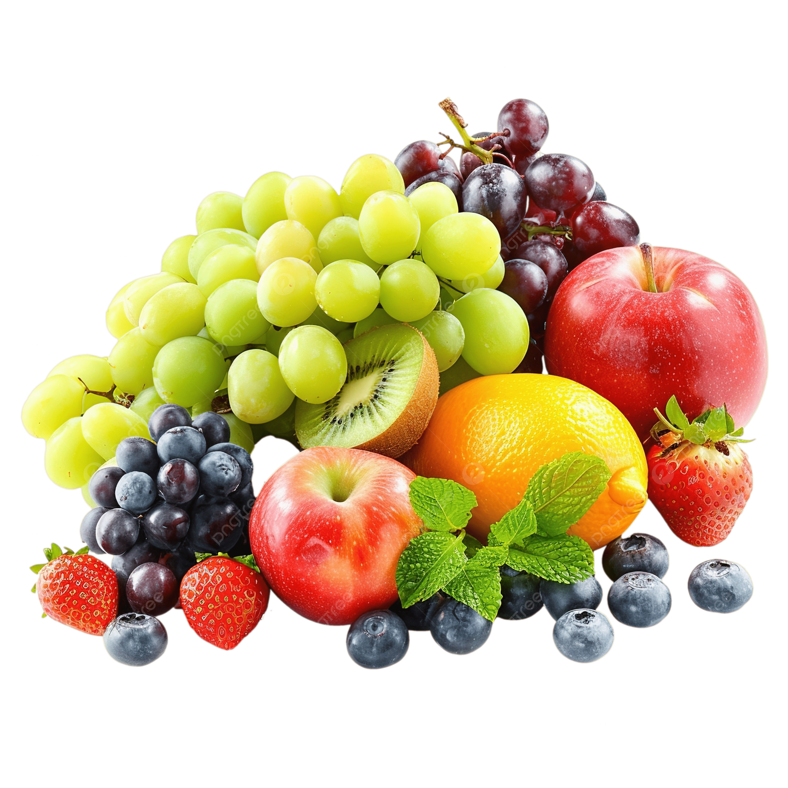 fruit exporter in India