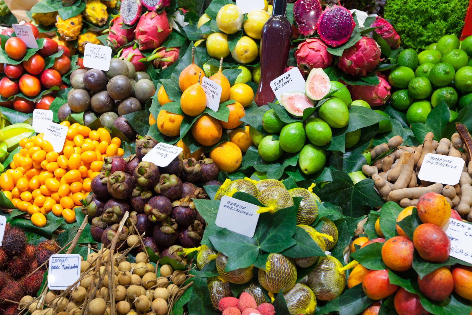 imported fresh fruit in India