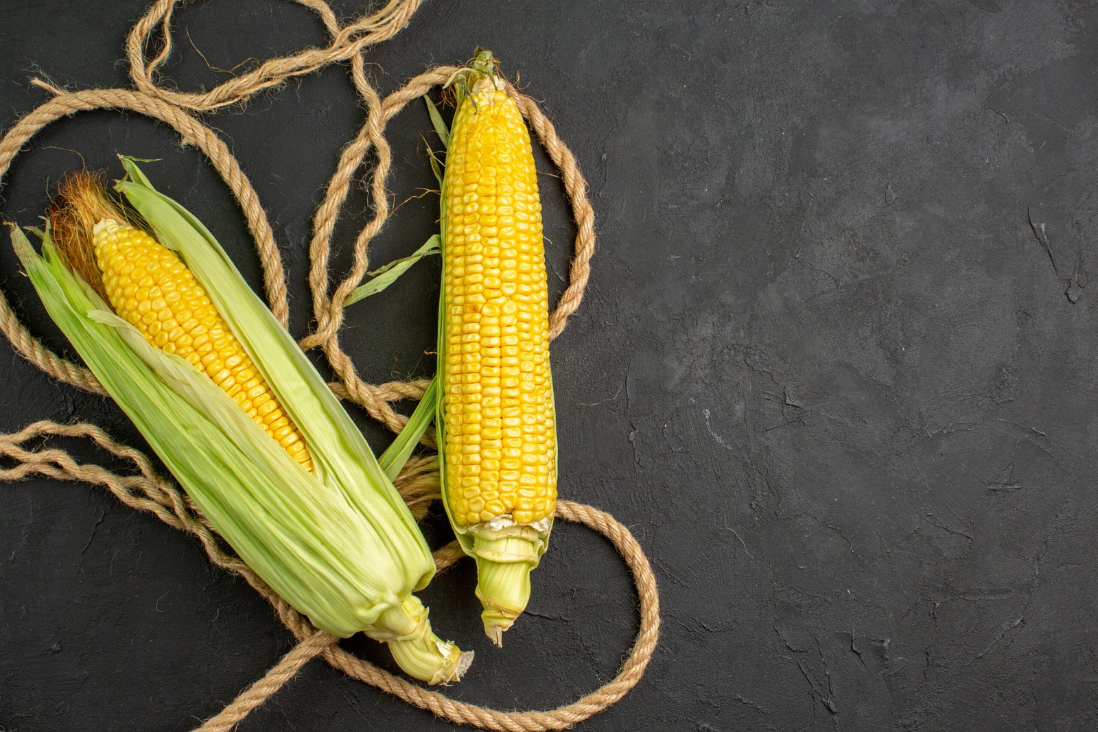 Canned baby corn for cooking, salads and bulk supply
